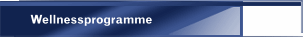 Wellnessprogramme